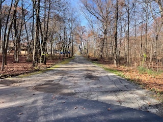 2096 Wolpers Road Park Forest, IL 60466 - Photo 2 of 17 a view of outdoor space with trees