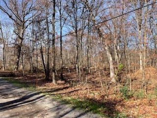 2096 Wolpers Road Park Forest, IL 60466 - Photo 4 of 17 a view of backyard of green space