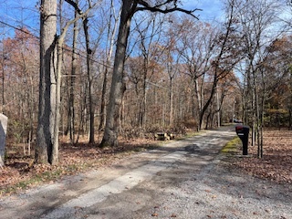 2096 Wolpers Road Park Forest, IL 60466 - Photo 10 of 17 a view of dirt yard with a large tree