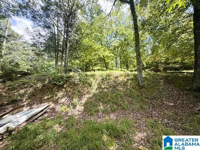 305 Nancy Lane Adger, AL 35006 - Photo 10 of 19 Gallery Image 10