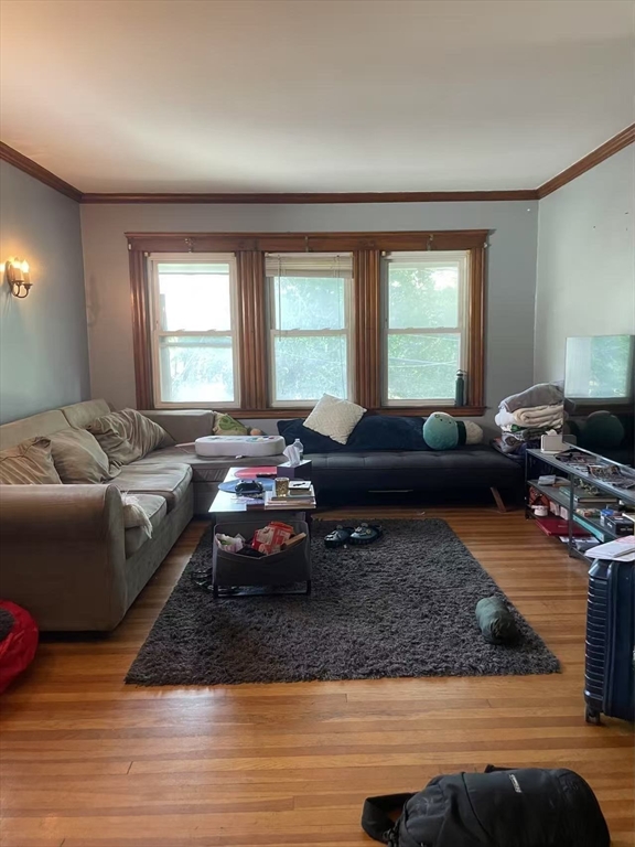 7 Granite Street, Unit 2 Cambridge, MA 02139 - Photo 7 of 31 a living room with furniture and a window