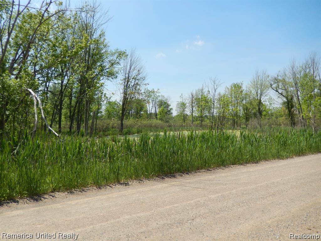 Parcel 20 Munsell Road Howell, MI 48843 - Photo 7 of 8
