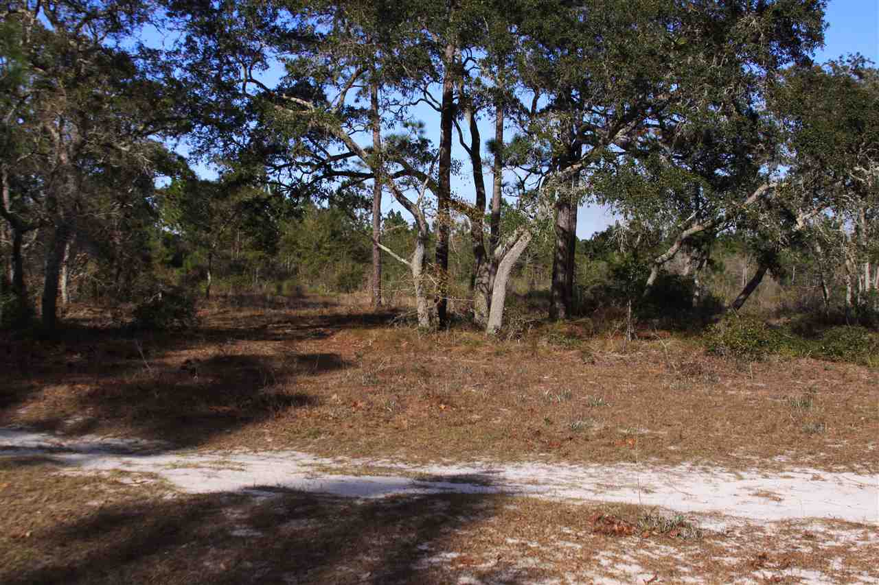 95-111 Tower Road Panacea, FL 32346 - Photo 1 of 7 Gallery Image 1