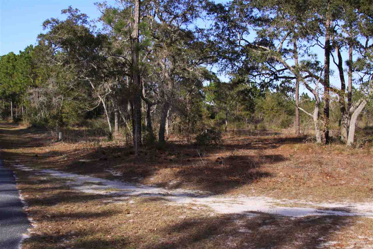 95-111 Tower Road Panacea, FL 32346 - Photo 2 of 7 Gallery Image 2