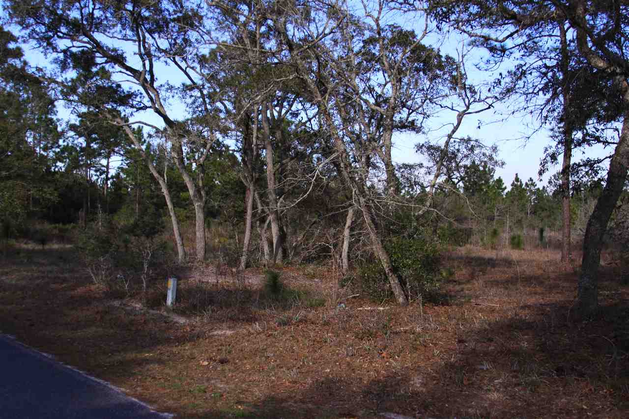 95-111 Tower Road Panacea, FL 32346 - Photo 5 of 7 Gallery Image 5