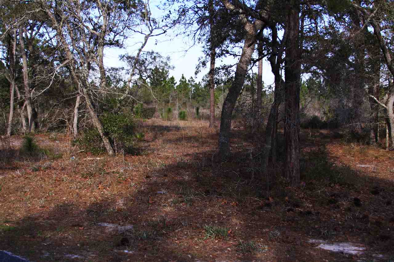 95-111 Tower Road Panacea, FL 32346 - Photo 6 of 7 Gallery Image 6