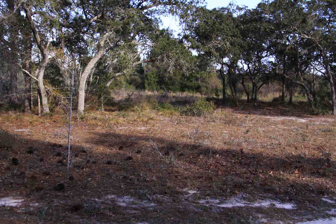 95-111 Tower Road Panacea, FL 32346 - Photo 7 of 7 Gallery Image 7