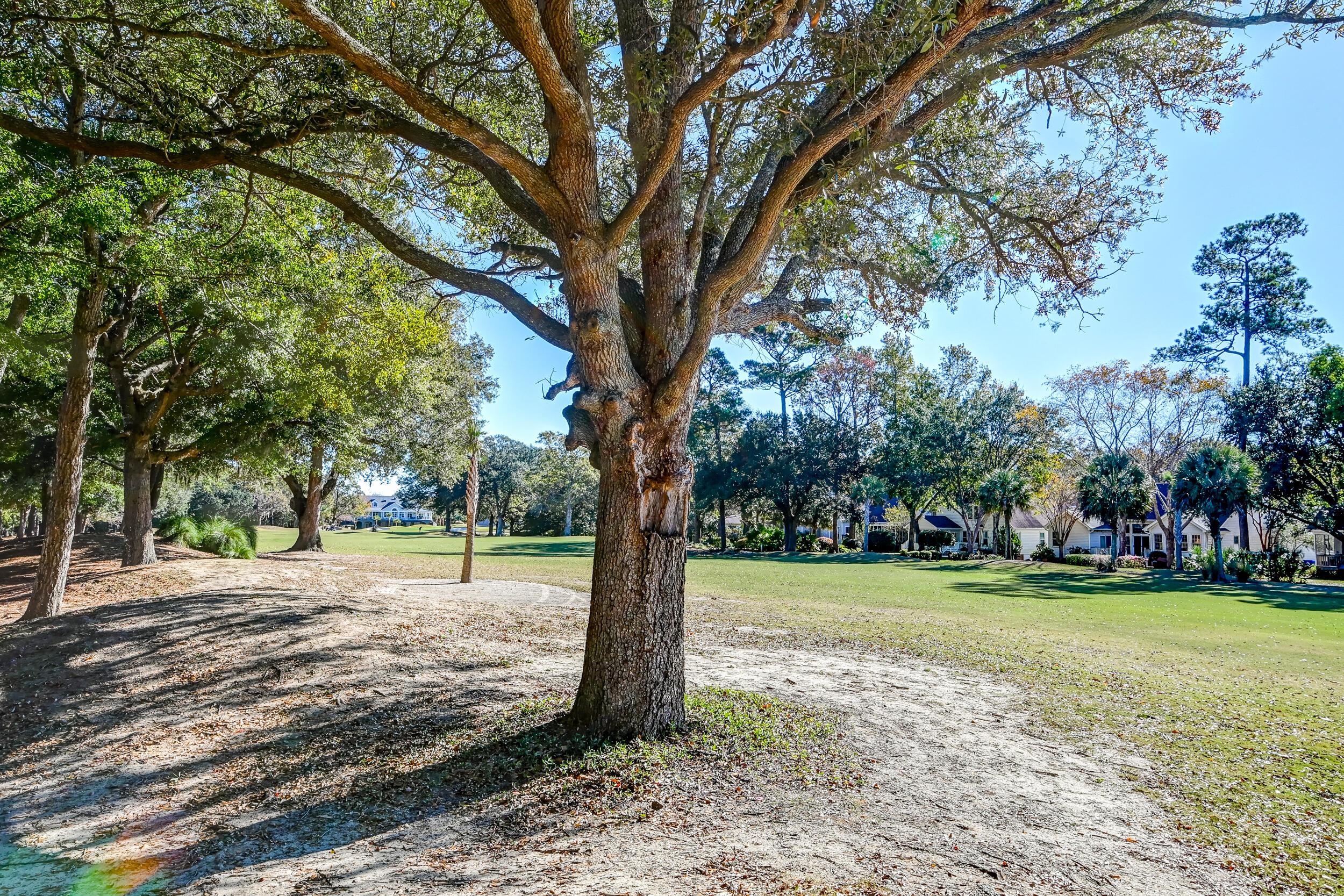 3164 Linksland Road Mount Pleasant, SC 29466 - Photo 51 of 64 DSC_7733_4_5_6_7