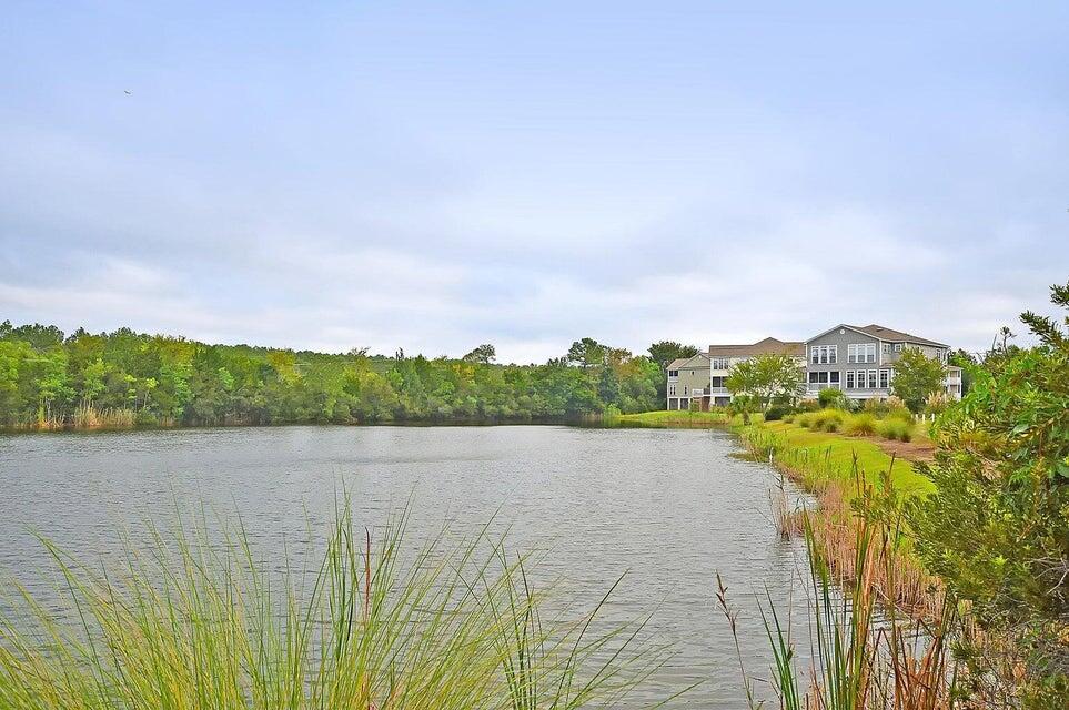 3164 Linksland Road Mount Pleasant, SC 29466 - Photo 62 of 64 20241209191727800277000000-o