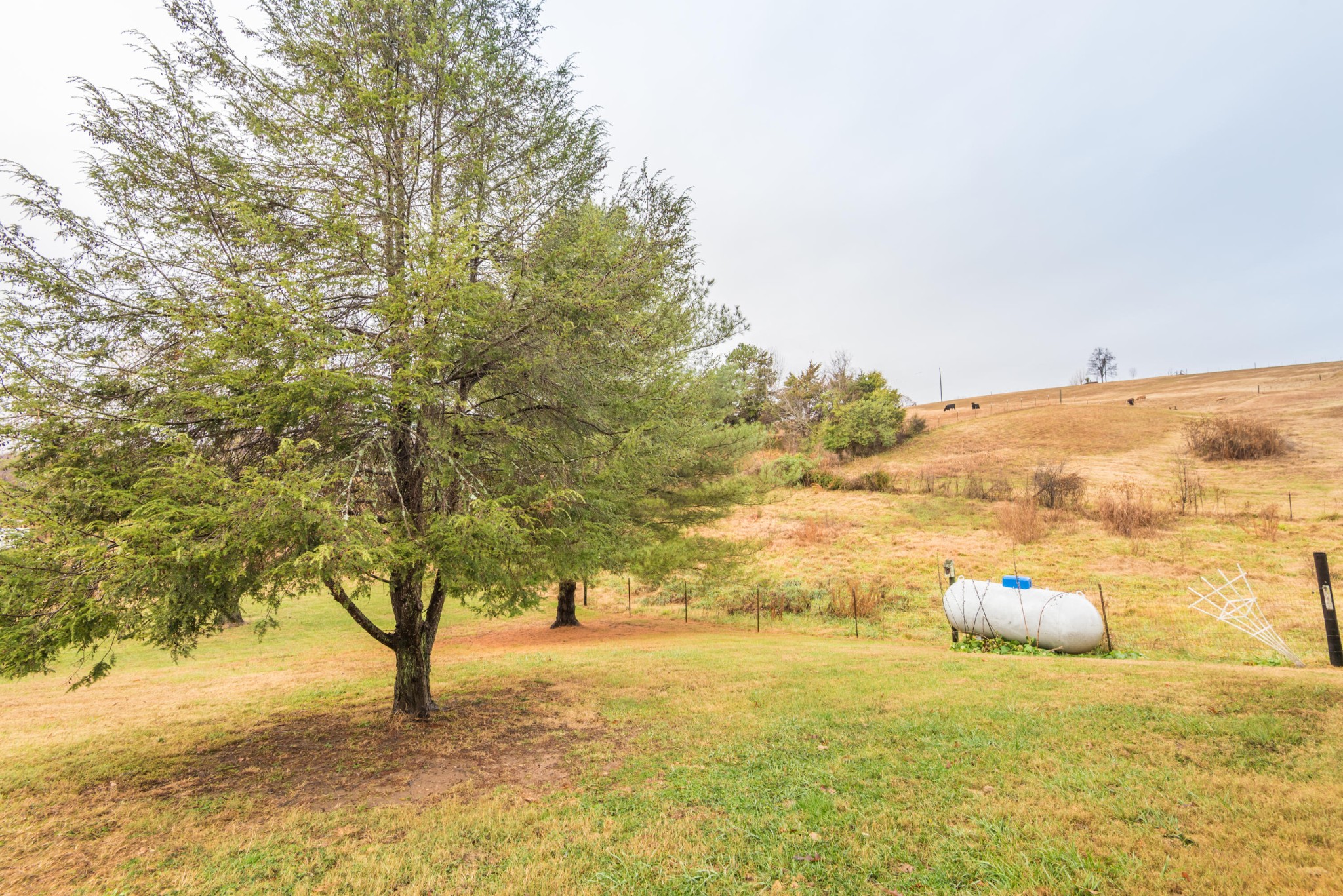 275 North Ridge View Road Luttrell, TN 37779 - Photo 23 of 27 a view of an ocean