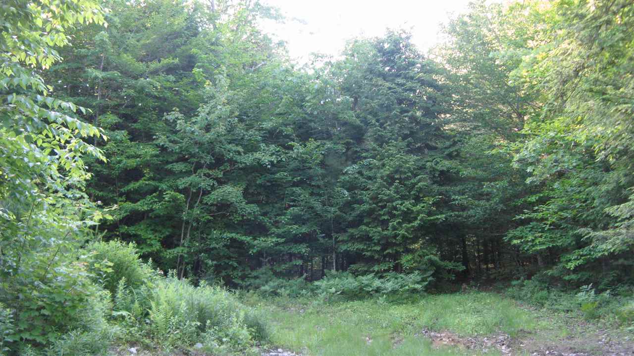 Lot 12-4 Suncook Valley Road Alton, NH 03809 - Photo 1 of 8 Gallery Image 1