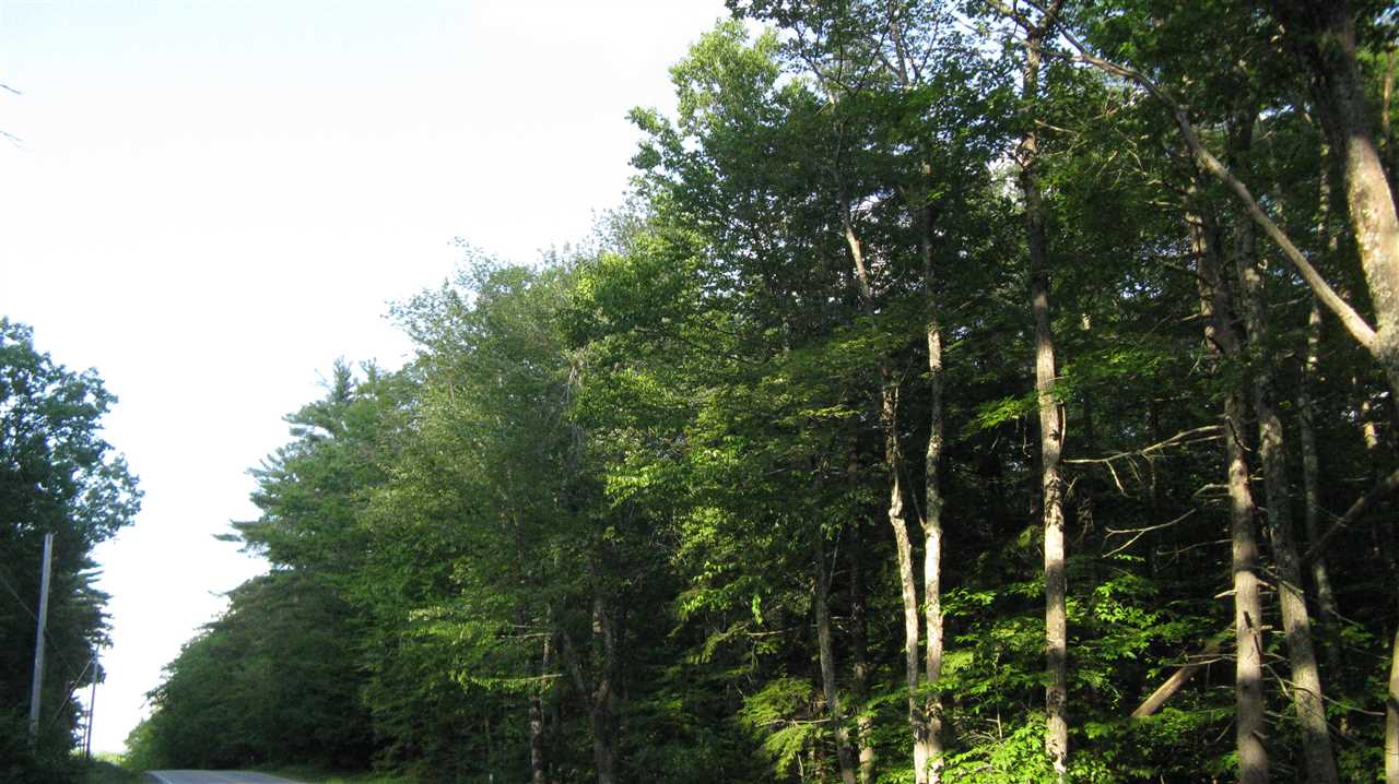 Lot 12-4 Suncook Valley Road Alton, NH 03809 - Photo 8 of 8 Gallery Image 8
