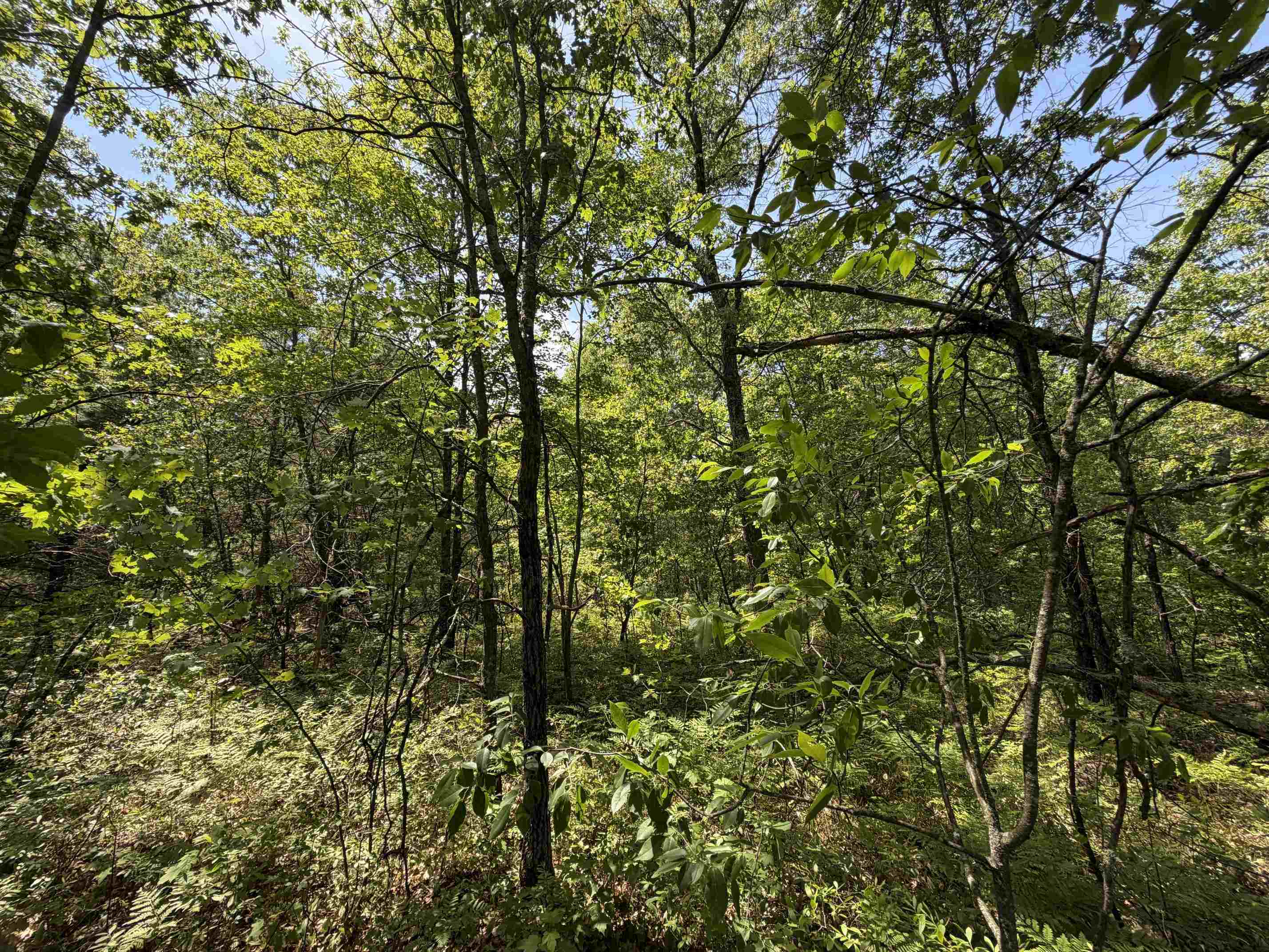 North Court, Unit 49 Shawano, WI 54166 - Photo 10 of 19
