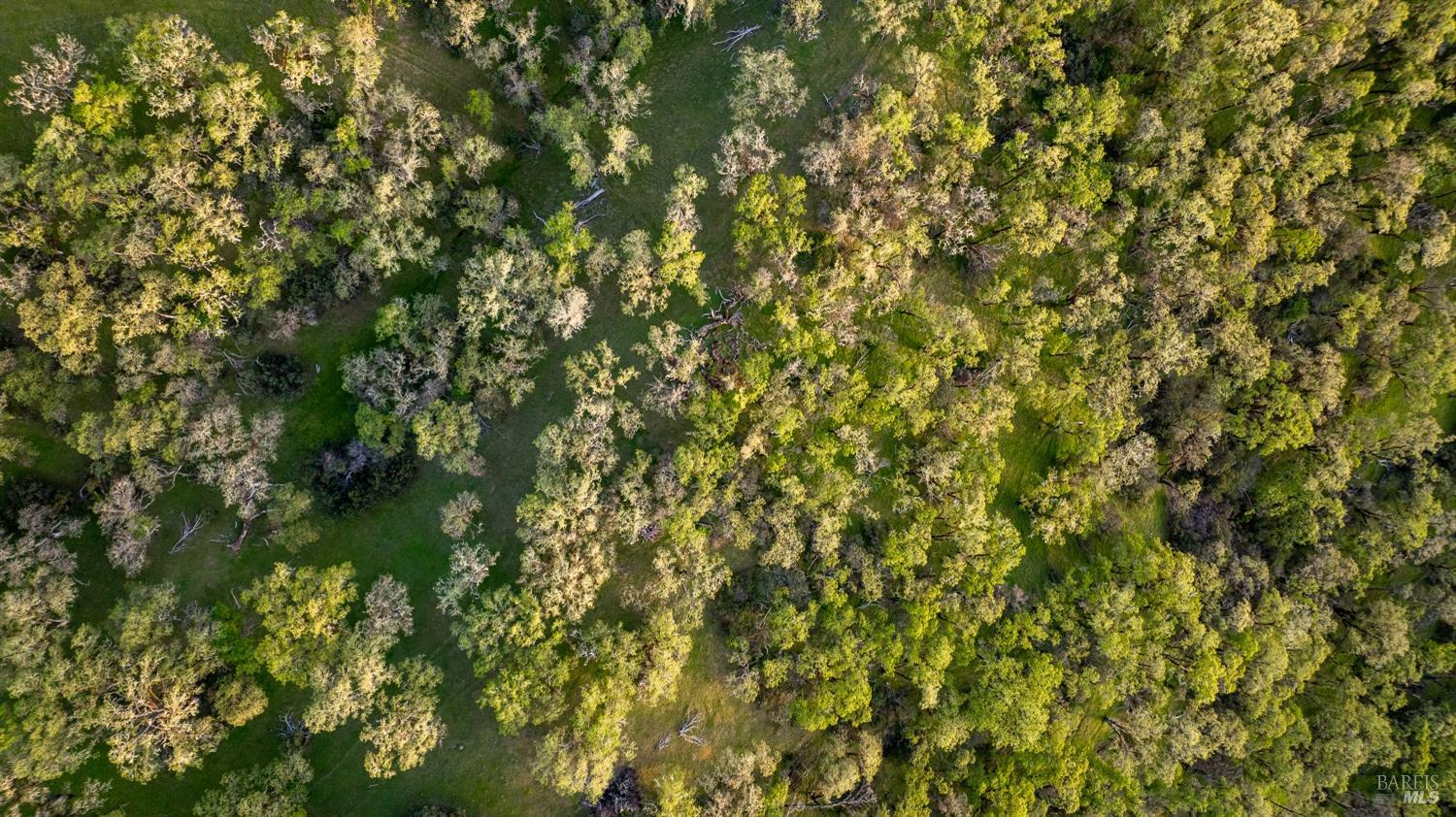 2389 Twining Road Talmage, CA 95481 - Photo 55 of 56