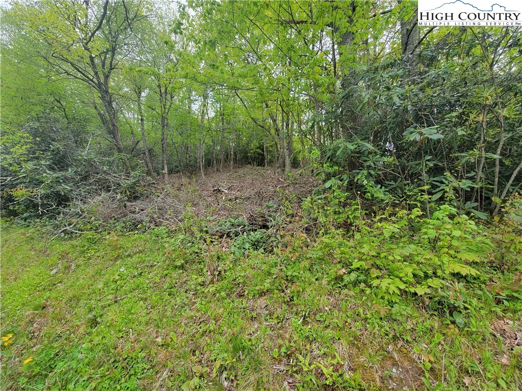 Tracts, Unit 1 2 Boone, NC 28607 - Photo 2 of 9 Gallery Image 2