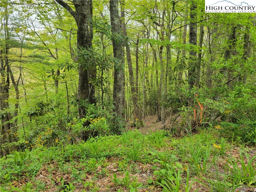 Tracts, Unit 1 2 Boone, NC 28607 - Photo 6 of 9 Gallery Image 6