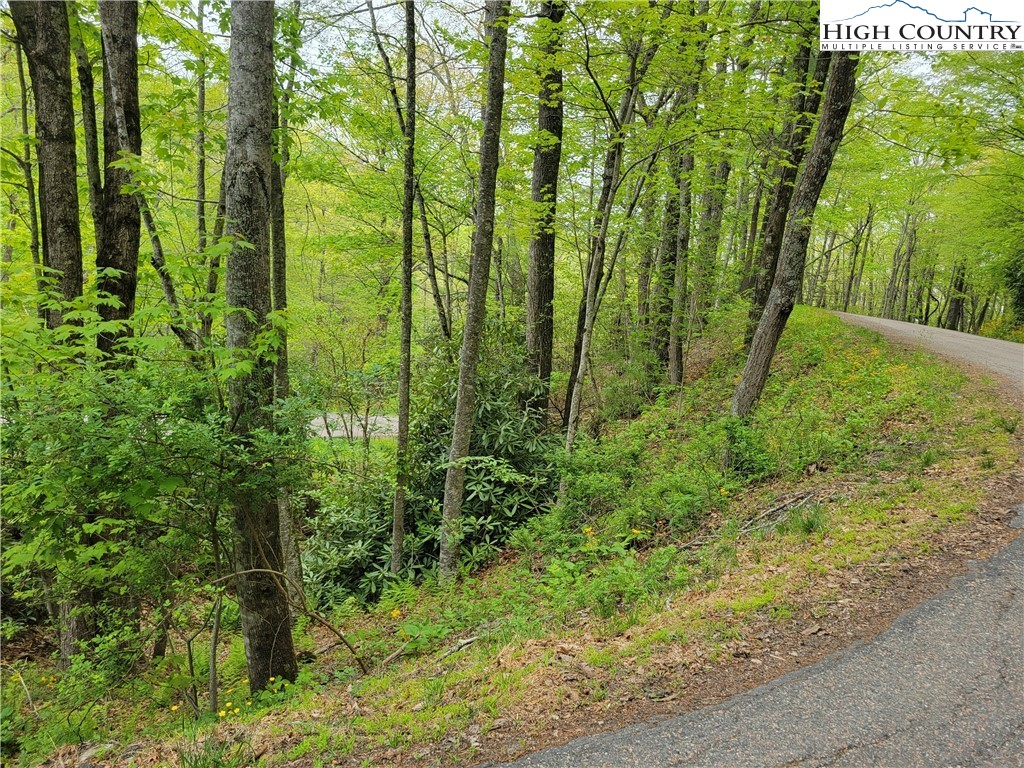 Tracts, Unit 1 2 Boone, NC 28607 - Photo 7 of 9 Gallery Image 7