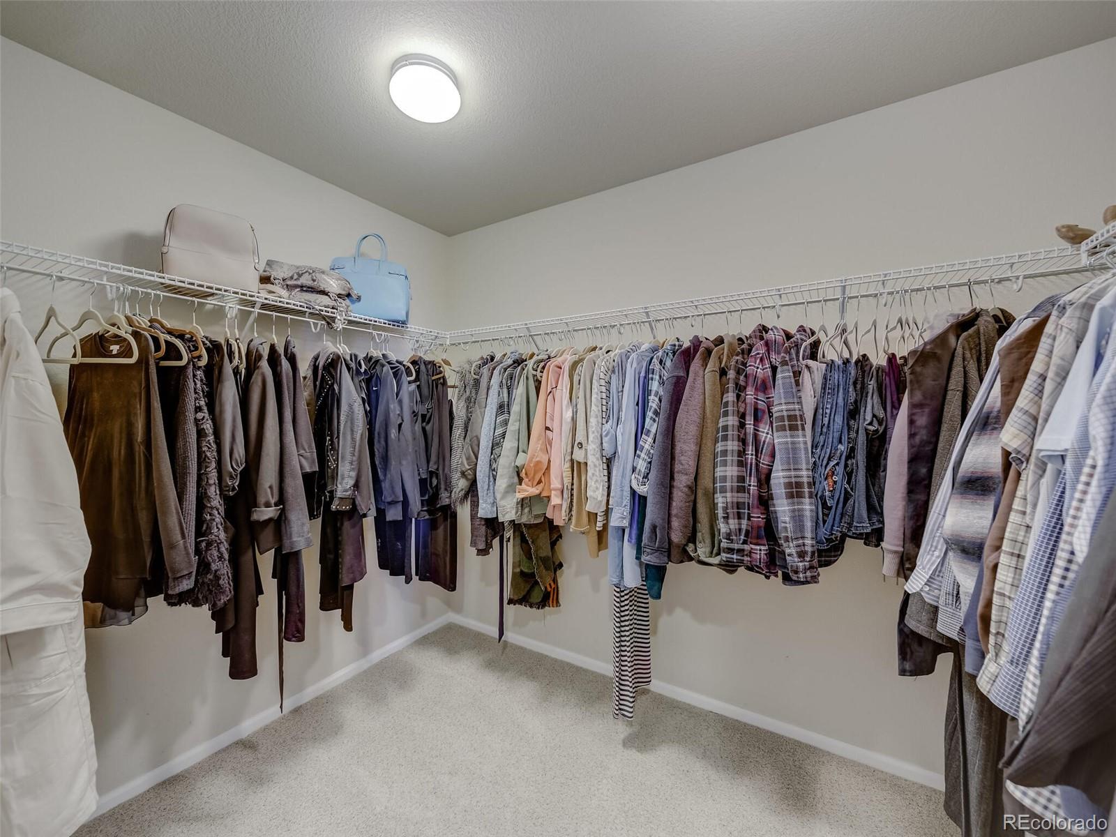 4311 Ivycrest Point Highlands Ranch, CO 80130 - Photo 23 of 40
