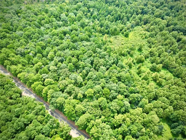 a view of a lush green space