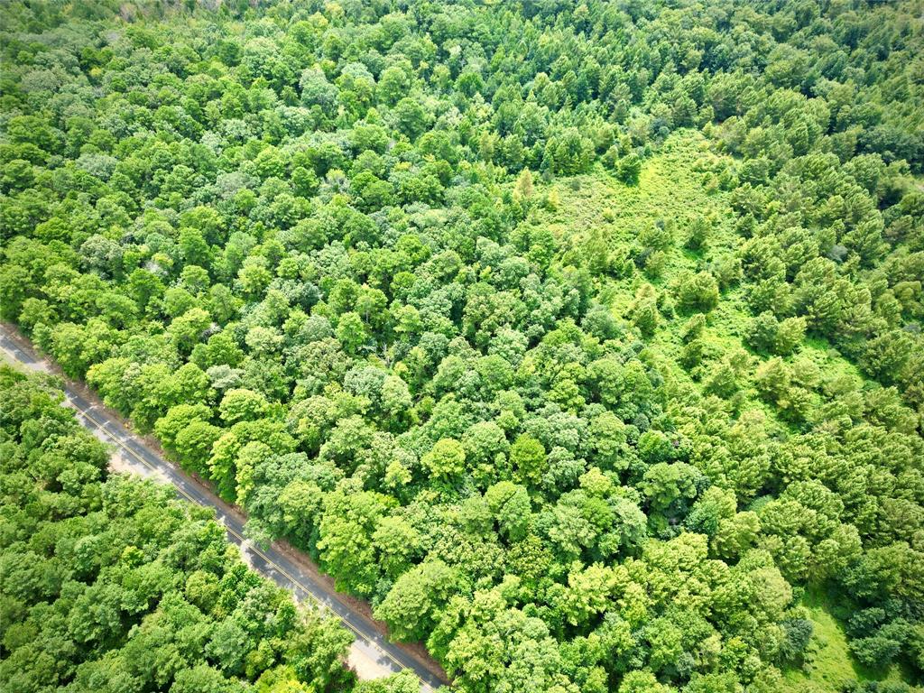 0 Winn School Road Hosston, LA 71043 - Photo 18 of 27 a view of a lush green forest