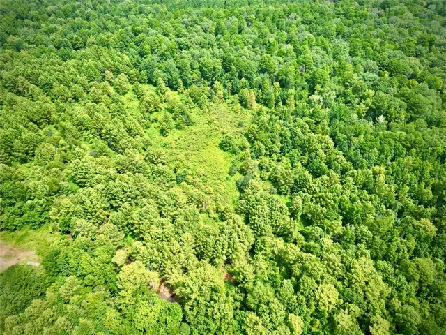 a view of a yard with a lush green field