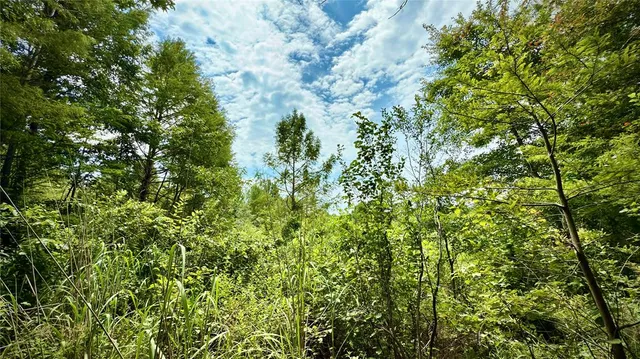a view of backyard with green space