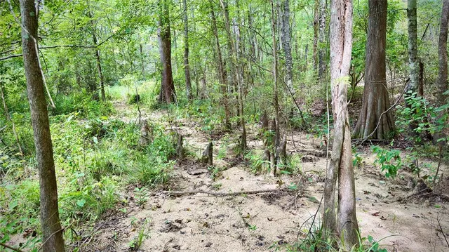 a view of outdoor space and garden