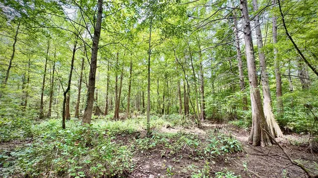a backyard of a house with lots of green space