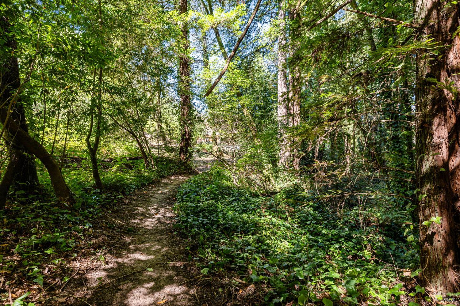 9935 Occidental Road Sebastopol, CA 95472 - Photo 40 of 59