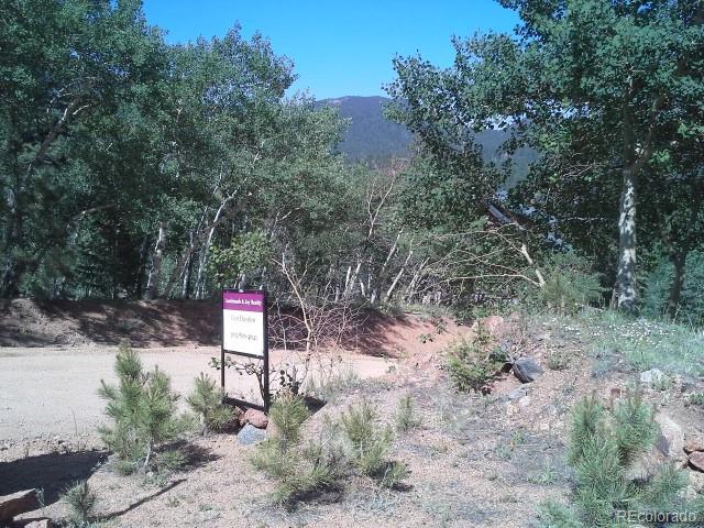 54 Lakeview Road Bailey, CO 80421 - Photo 1 of 13