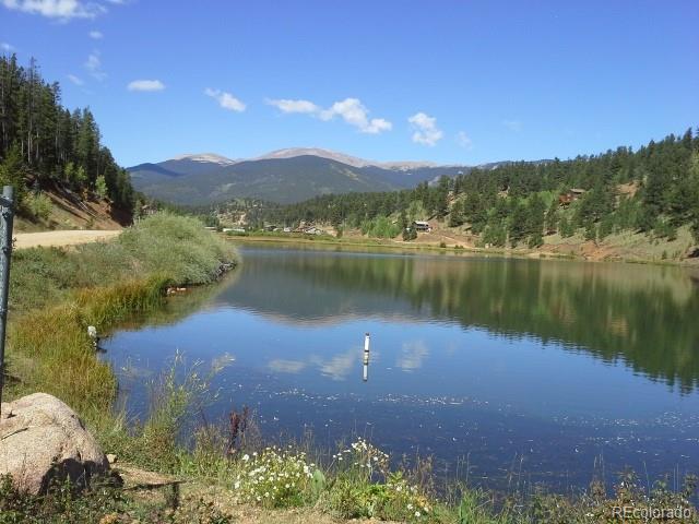 54 Lakeview Road Bailey, CO 80421 - Photo 13 of 13