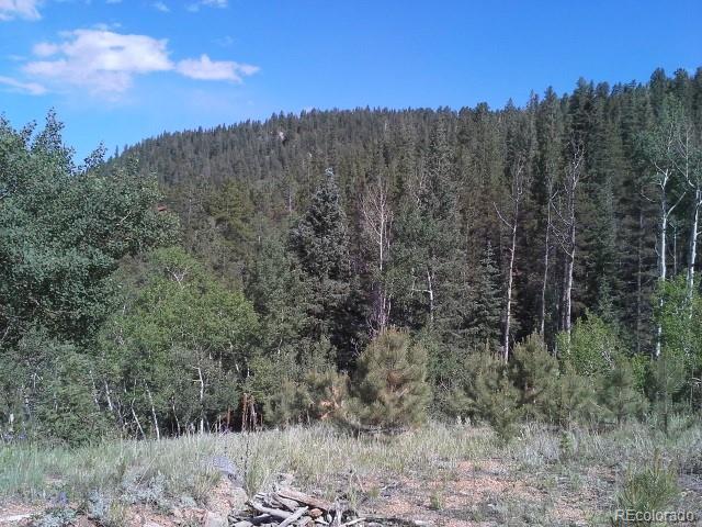 54 Lakeview Road Bailey, CO 80421 - Photo 2 of 13