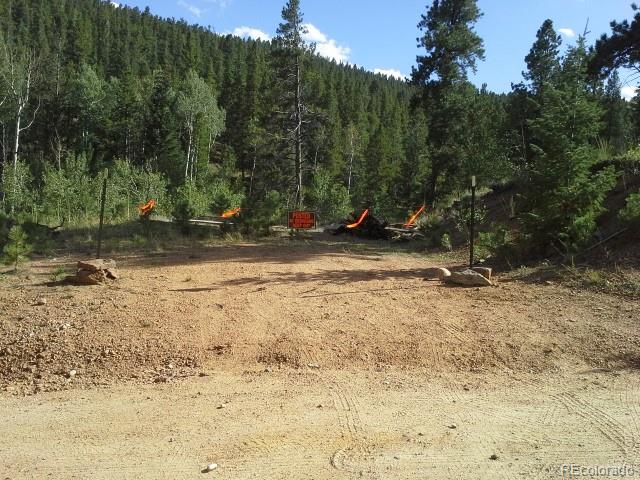 54 Lakeview Road Bailey, CO 80421 - Photo 3 of 13