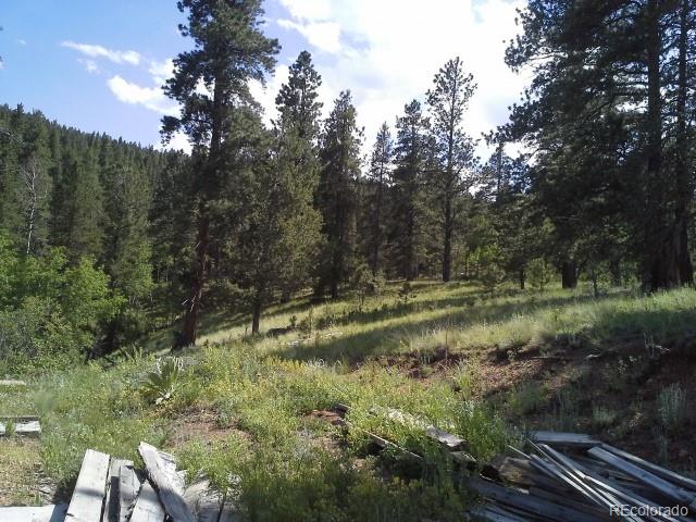 54 Lakeview Road Bailey, CO 80421 - Photo 4 of 13