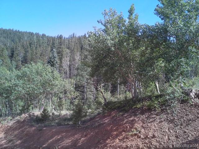 54 Lakeview Road Bailey, CO 80421 - Photo 5 of 13