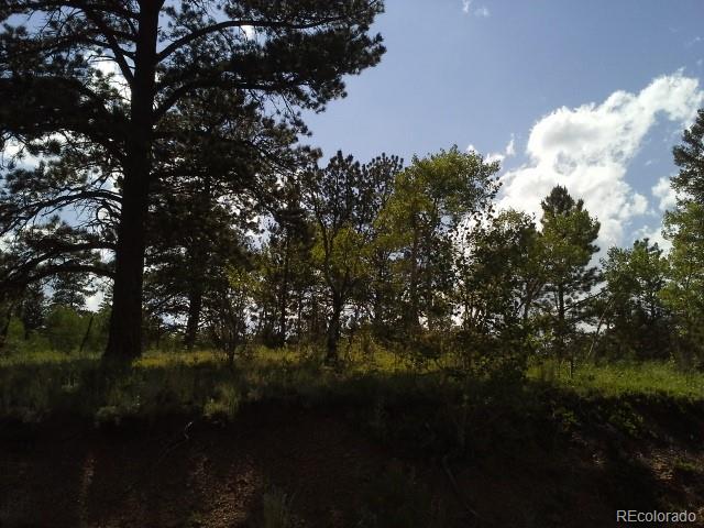 54 Lakeview Road Bailey, CO 80421 - Photo 6 of 13