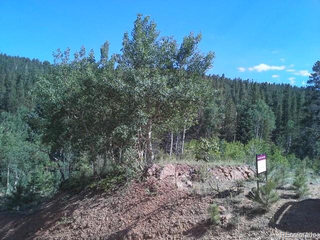 54 Lakeview Road Bailey, CO 80421 - Photo 7 of 13