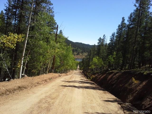 54 Lakeview Road Bailey, CO 80421 - Photo 8 of 13