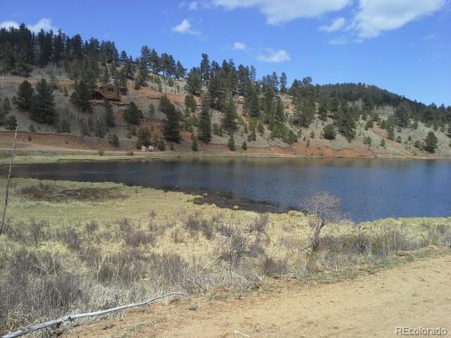 54 Lakeview Road Bailey, CO 80421 - Photo 10 of 13