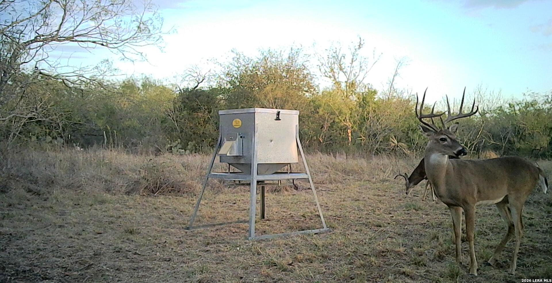 1393 Fox Trotter Road Seguin, TX 78155 - Photo 46 of 46