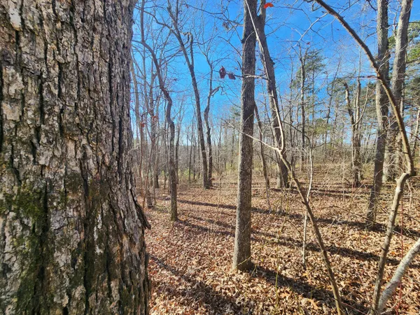 $60,000 | Lot 35 Road 9050 Mentone Al, Mentone, AL 35984