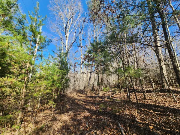 $60,000 | Lot 35 Road 9050 Mentone Al, Mentone, AL 35984