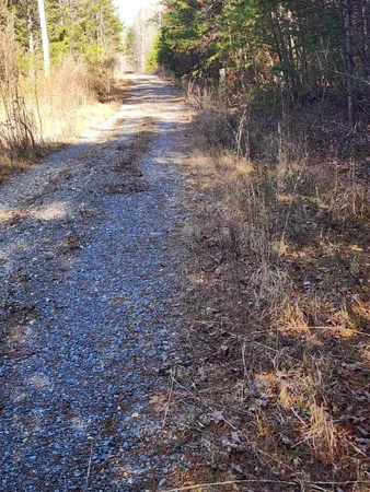 $60,000 | Lot 35 Road 9050 Mentone Al, Mentone, AL 35984