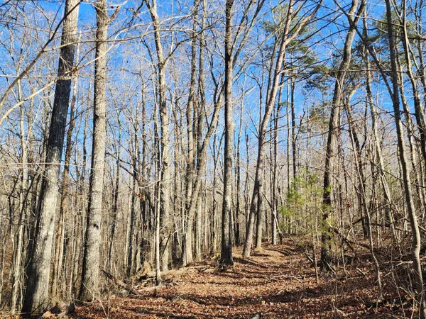 $60,000 | Lot 35 Road 9050 Mentone Al, Mentone, AL 35984