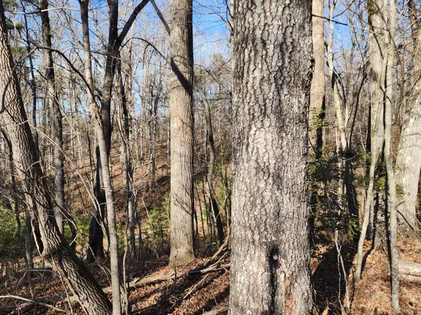 $60,000 | Lot 35 Road 9050 Mentone Al, Mentone, AL 35984