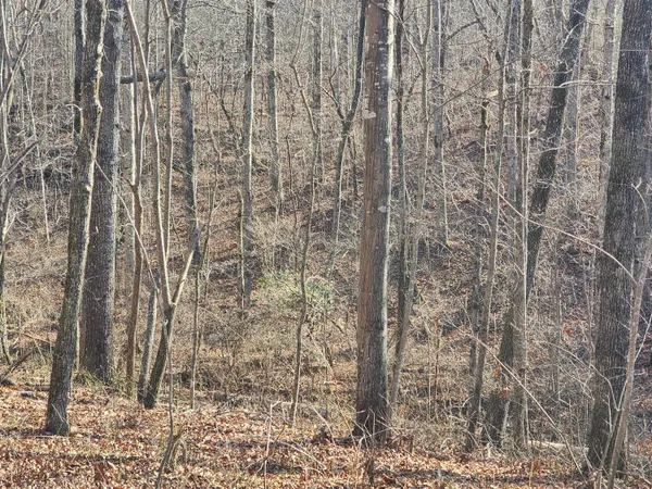 $60,000 | Lot 35 Road 9050 Mentone Al, Mentone, AL 35984