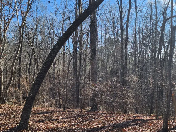 $60,000 | Lot 35 Road 9050 Mentone Al, Mentone, AL 35984