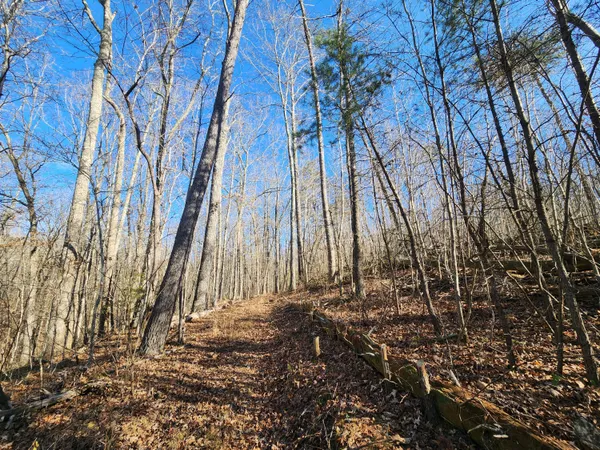 $60,000 | Lot 35 Road 9050 Mentone Al, Mentone, AL 35984