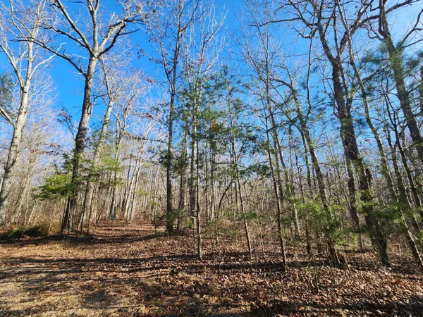 $60,000 | Lot 35 Road 9050 Mentone Al, Mentone, AL 35984