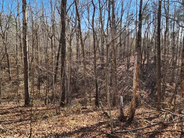 $60,000 | Lot 35 Road 9050 Mentone Al, Mentone, AL 35984